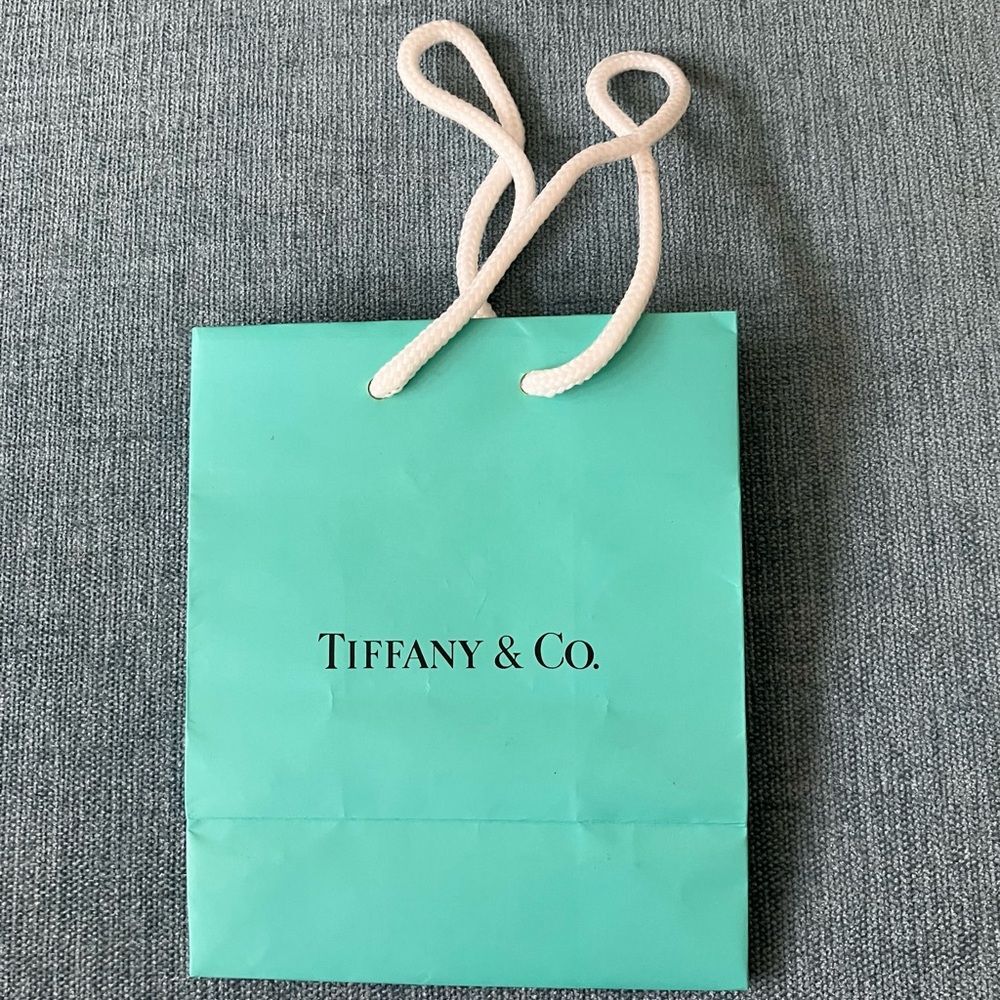 Tiffany & Co. Shopping Gift Bag